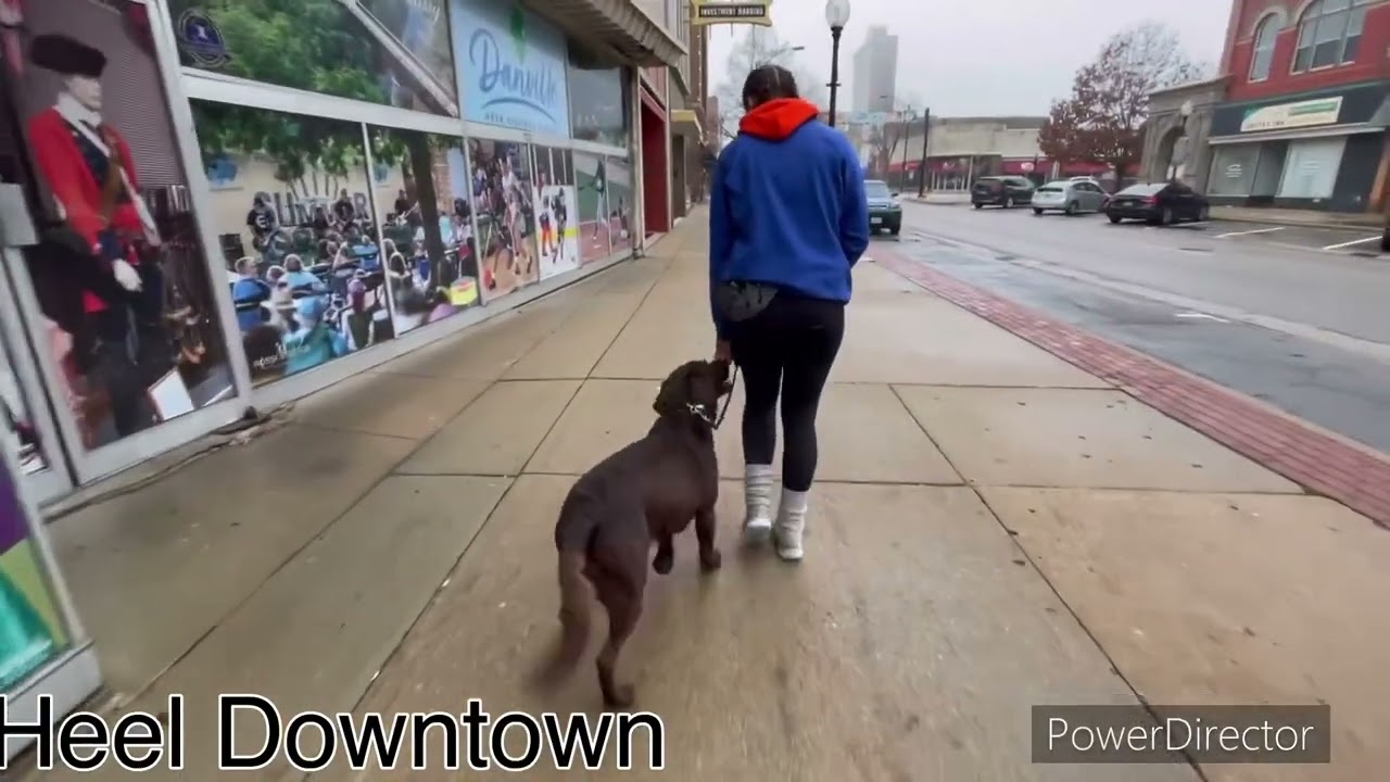 Flynn&rsquo;s Graduation Video