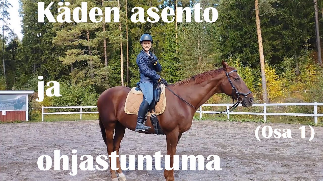 Ratsastajan käden asento ja ohjastuntuma (osa 1)
