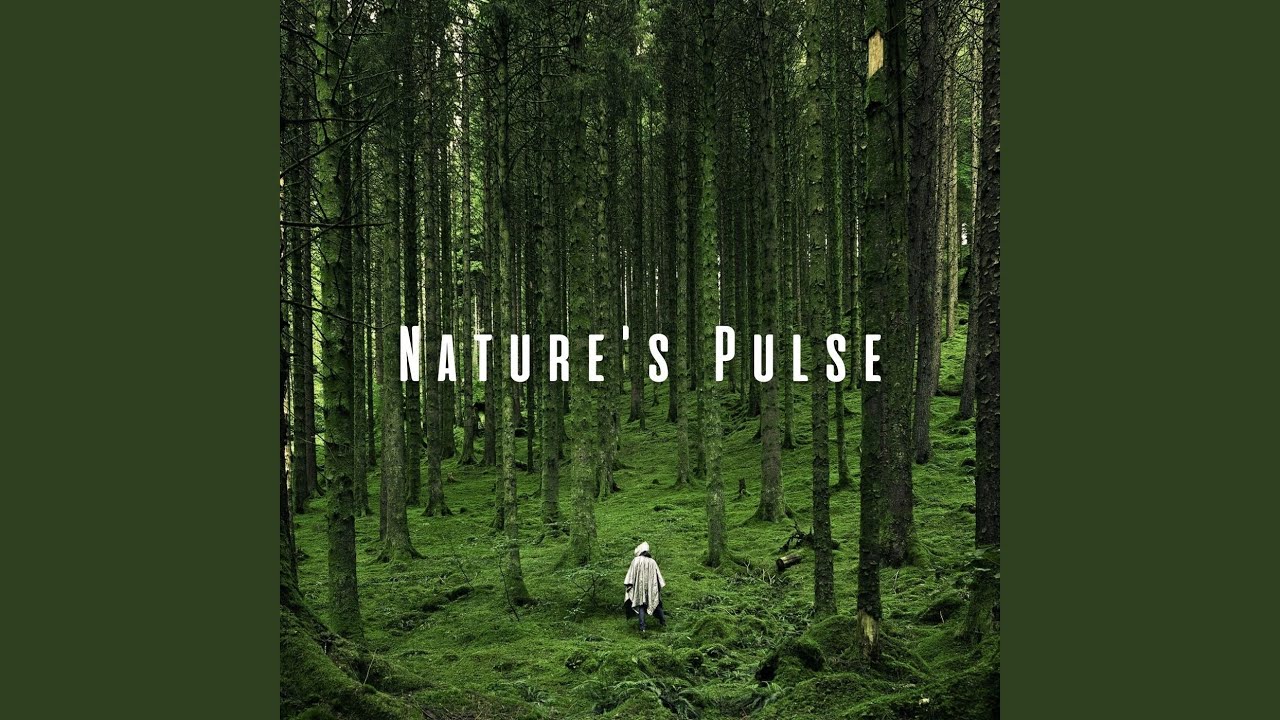 Melodic Nature's Beat