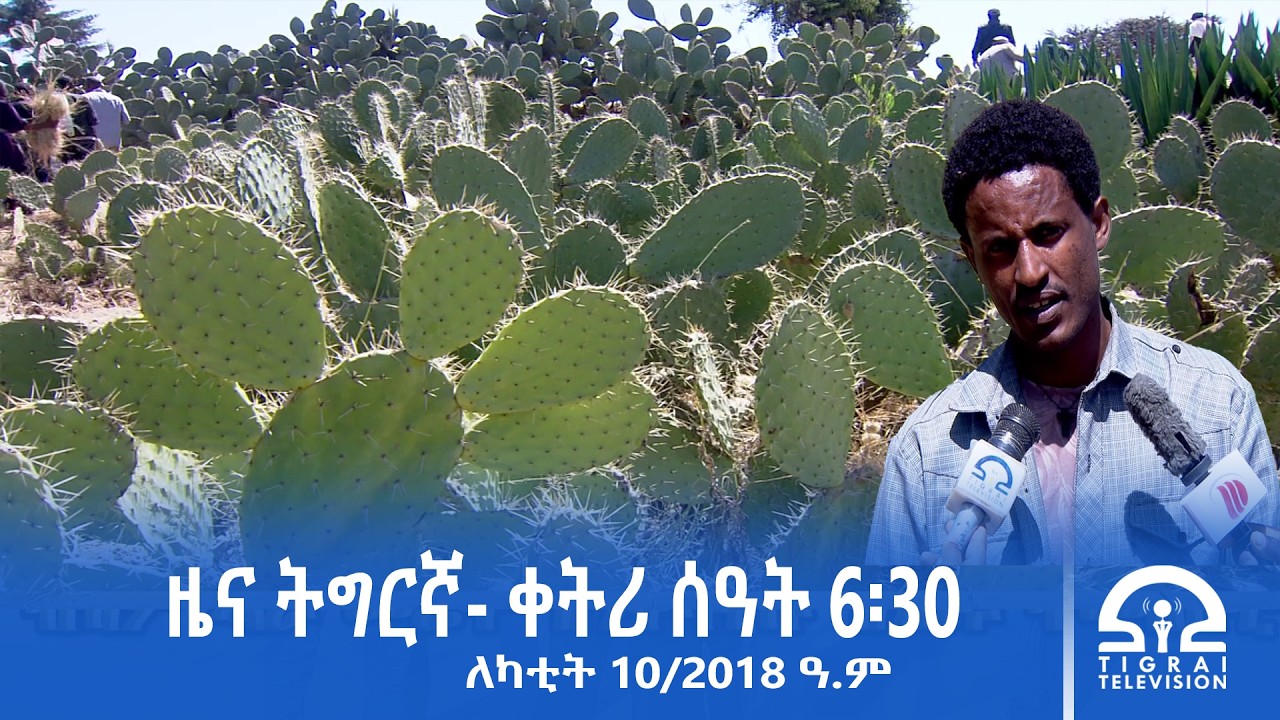 ዜና ትግርኛ - ቀትሪ ሰዓት 6፡30 - ለካቲት 10/2018 ዓ.ም | #Tigrai_Television | #ቴሌቪዥን_ትግራይ |