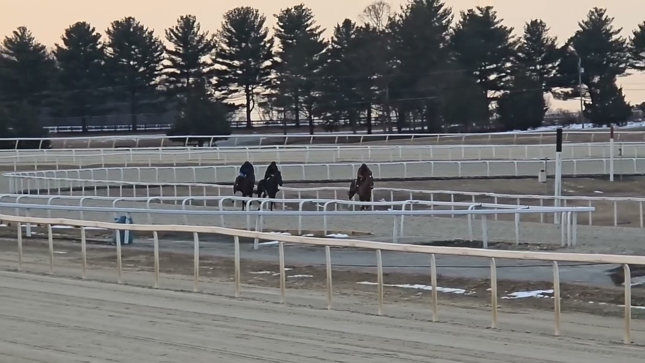 Savanasrioguerrera(in blue) and barbed wire barbie.  Lugovitch horse behind  
