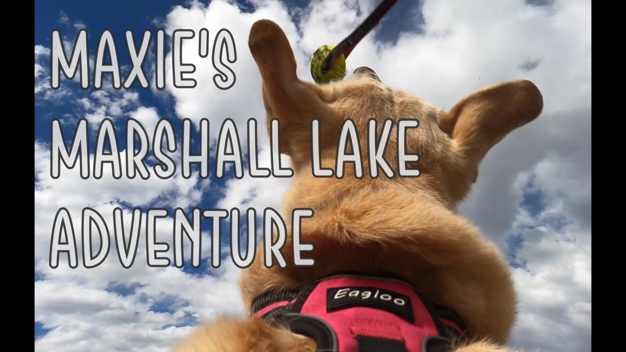 Maxie's Marshall Lake Adventure