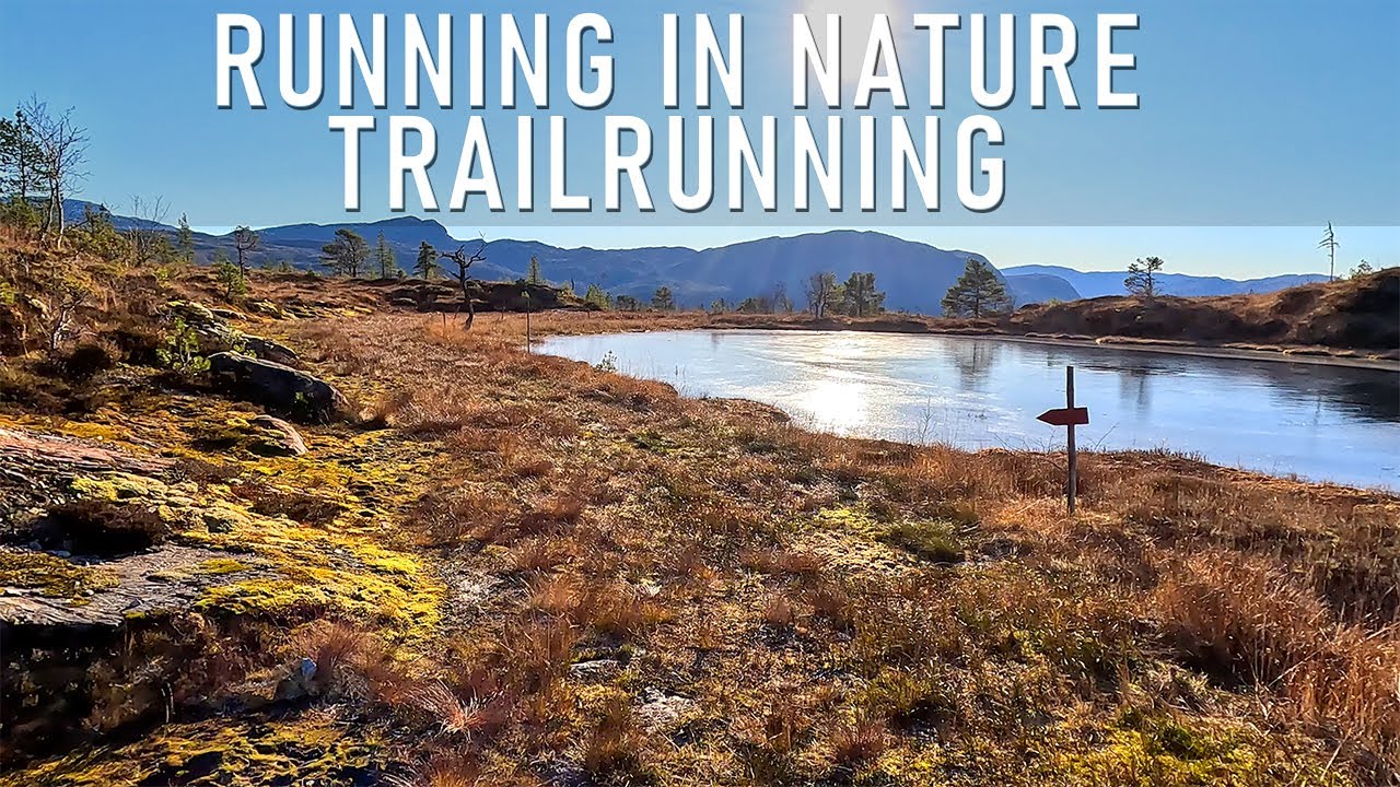 Virtual Run | Treadmill Workout | Virtual Running Videos for Treadmill