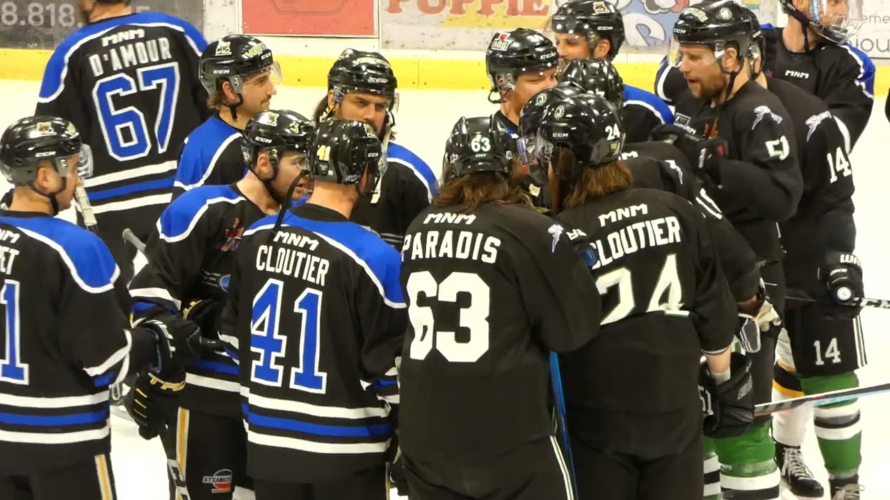 LNAH brawl au warm up 27 fev