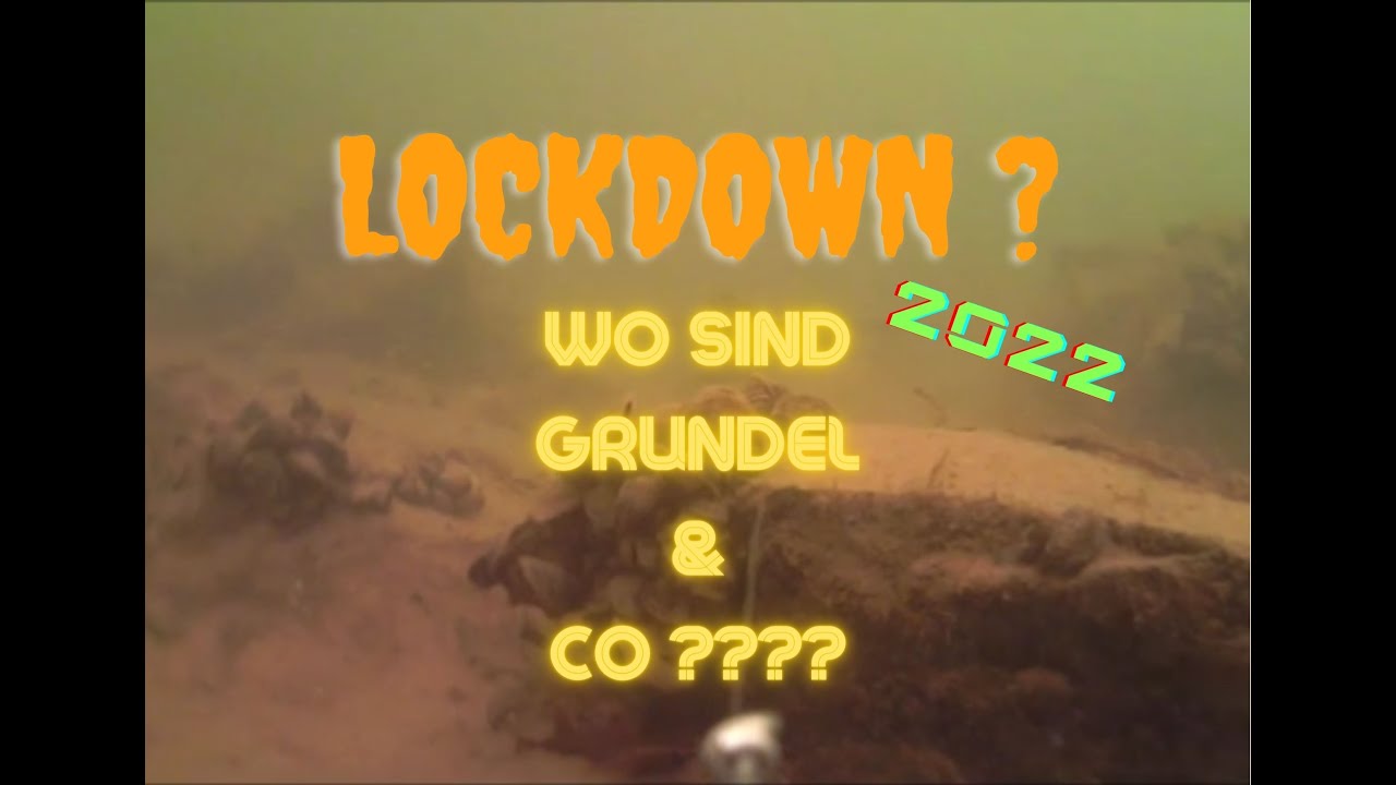 Lockdown??? Wo sind Grundel & Co ???