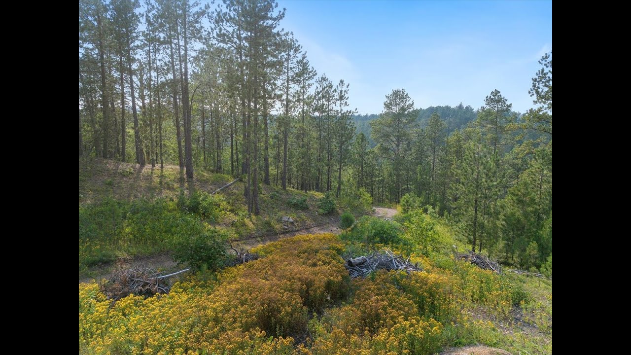 5.2 Acres for Sale in the Black Hills of South Dakota!