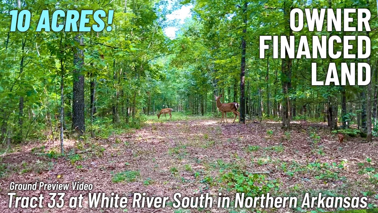 Ground Video of 10 Acres near White River [Only $1,500 Down] Owner Financed Land For Sale ARK WZ33