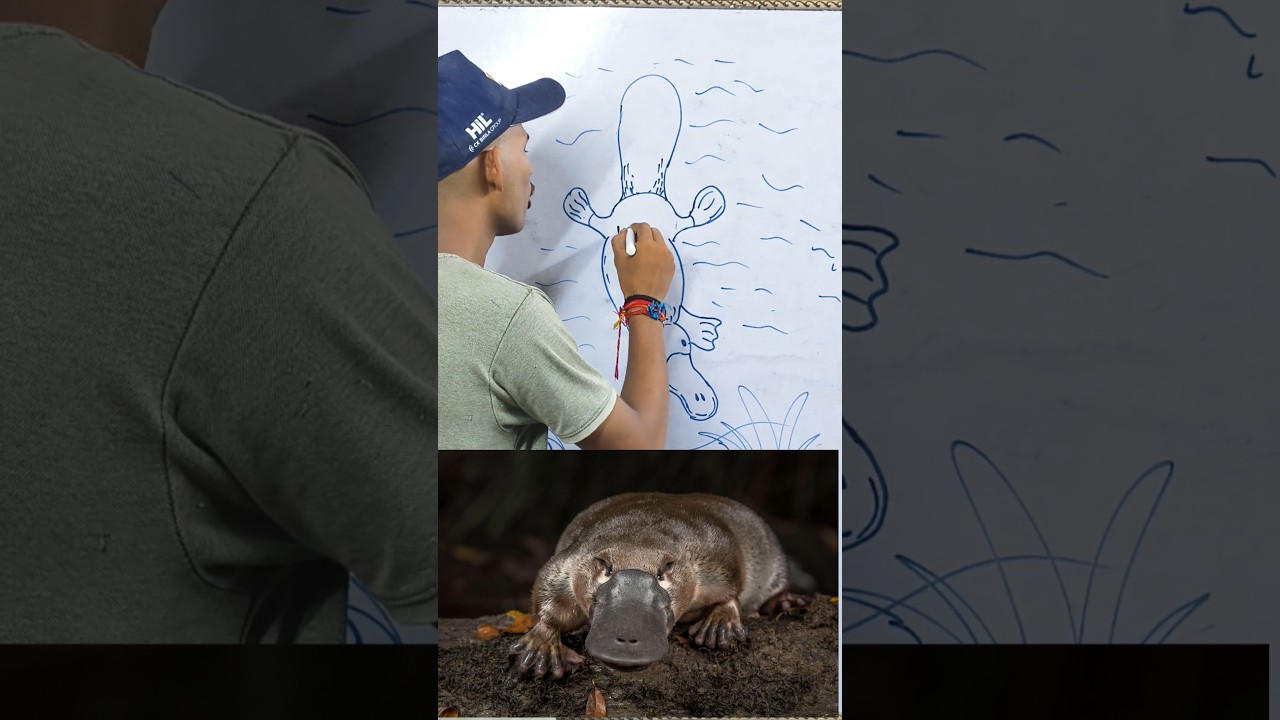 nature surprise platypus|| #biology #boardexam #class10 #class12th@biosystem123