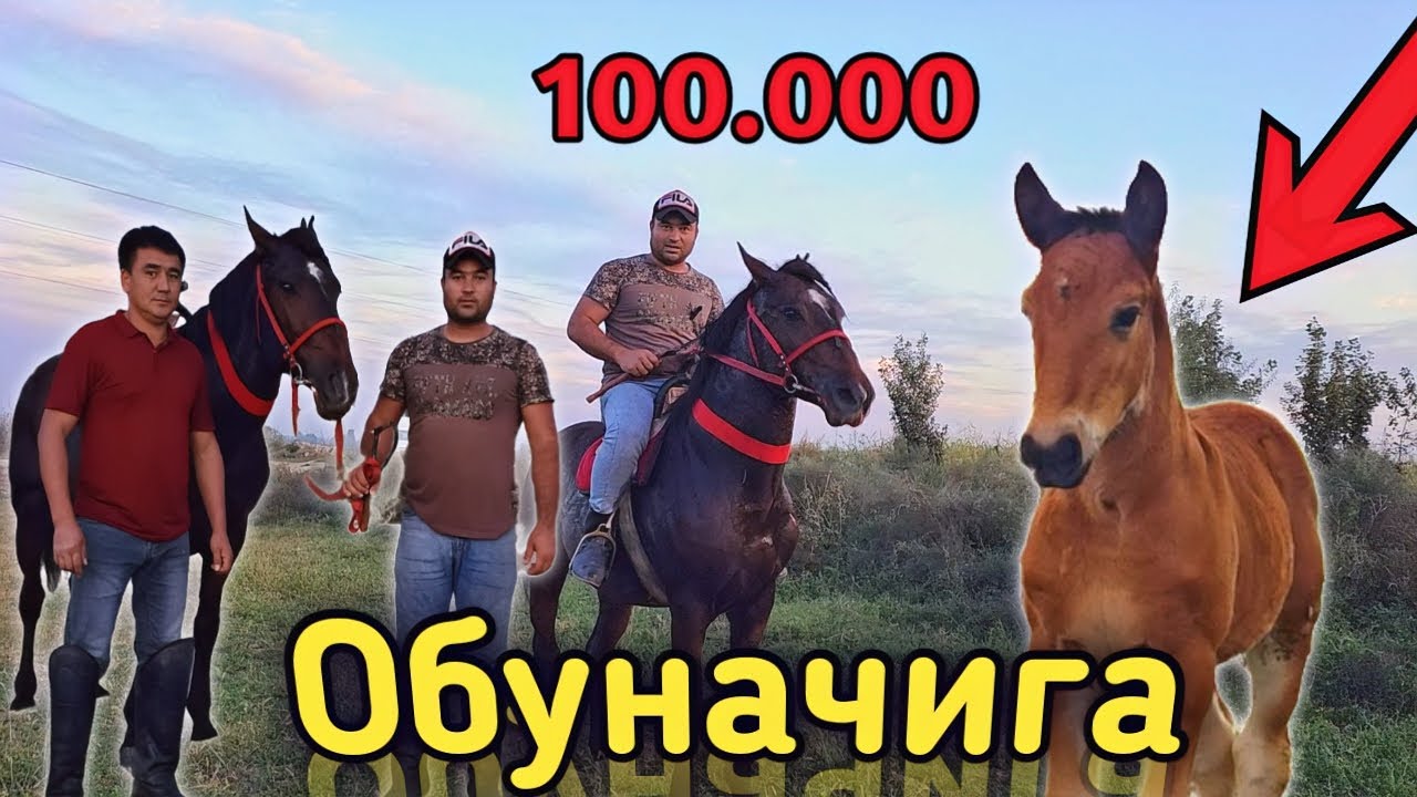 ЮЗМИНГ ОБУНАЧИГА ТОЙ СОВГА. ЯПОНЧИК УЛОГИ КАФОЛАТ ОТ СОТИЛАДИ..OTNI &Ograve;ZIM SINOVDAN &Ograve;TQAZDIM..продаю .