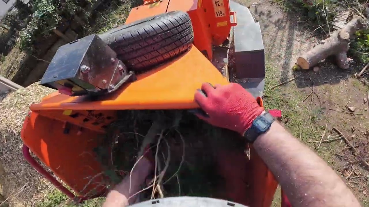 Removing trees for driveway extension with Stihl and Husqvarna saws and a timberwolf tw190 chipper