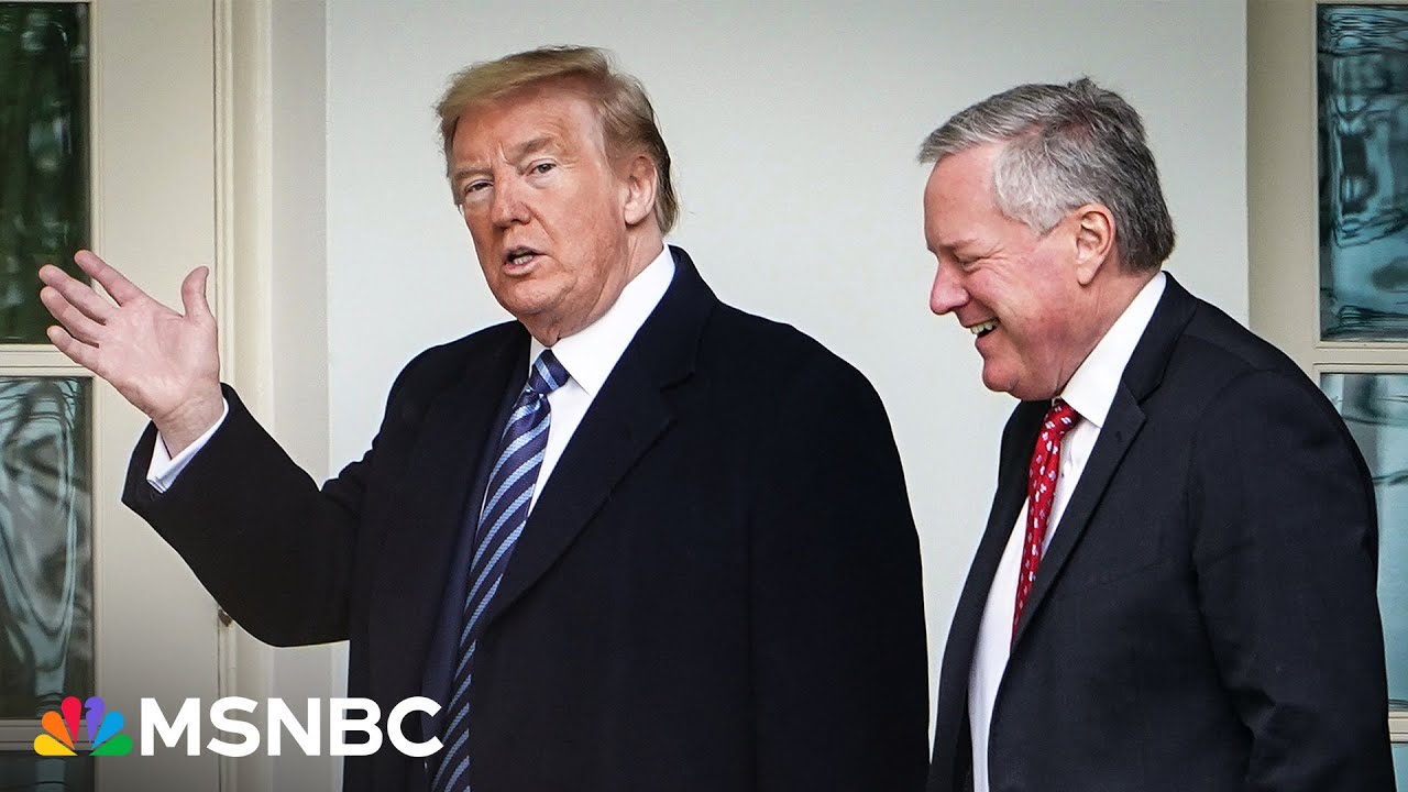 Big Lie bombshell: Man Trump hired to prove election fraud says he debunked it to Trump and Meadows
