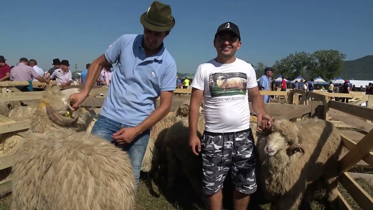 Targ expozitional de Berbeci Baia Mare, Maramures 29 August 2023 Nou!!!