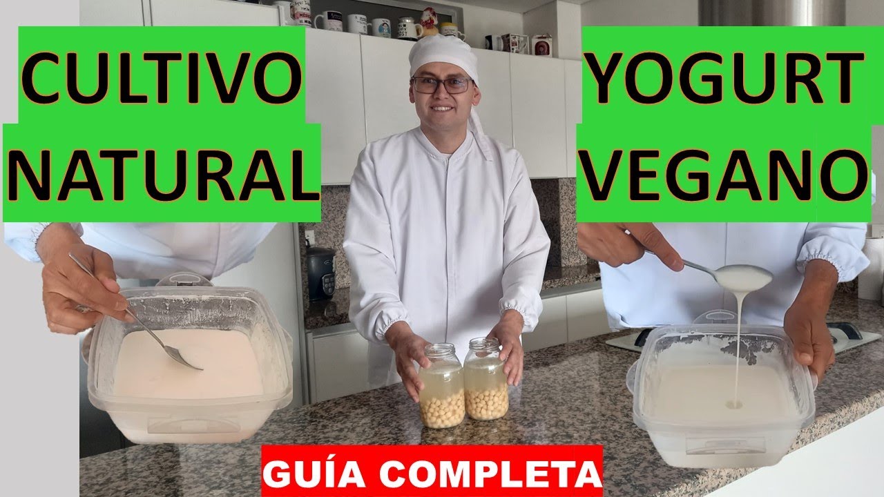 CÓMO HACER YOGURT VEGANO CASERO CON PROBIÓTICOS NATURALES
