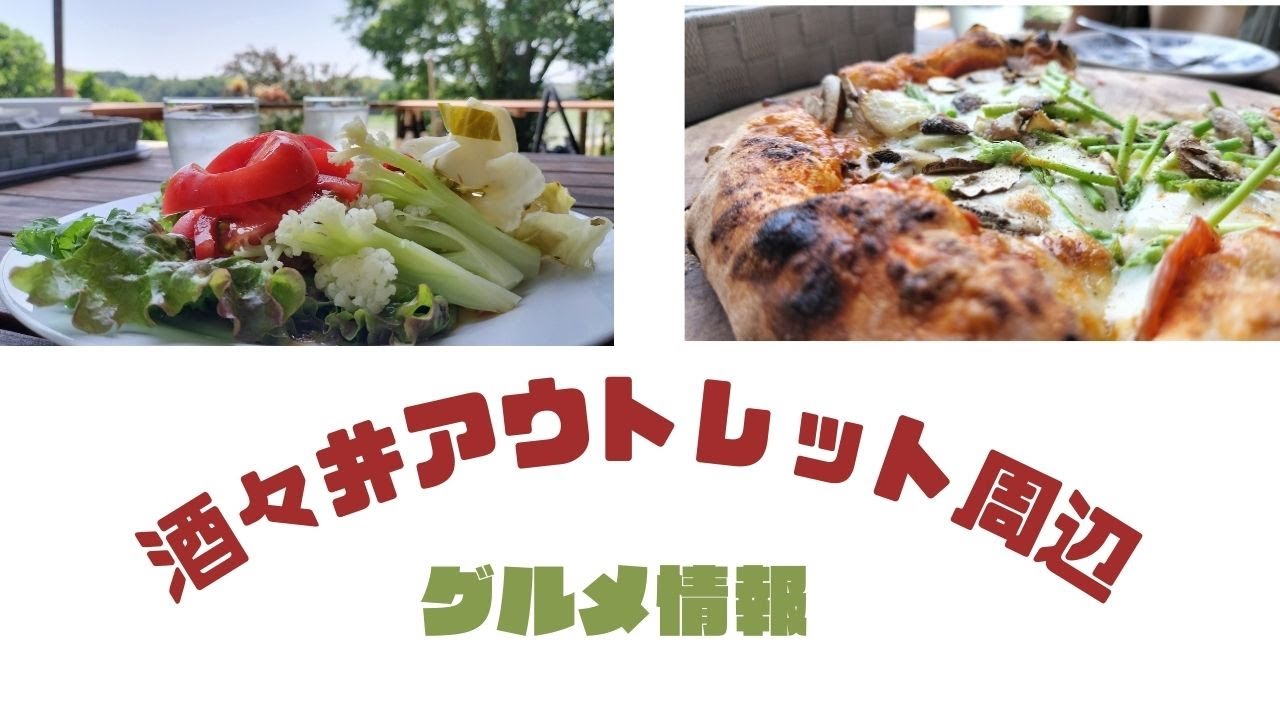 「Vlog」酒々井アウトレット周辺グルメ情報　たんぽぽ