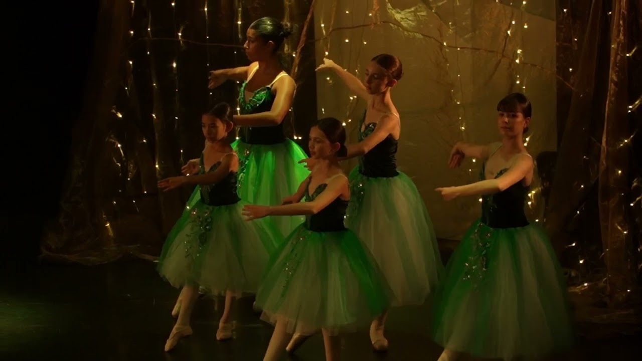 Cours Danse Classique - 