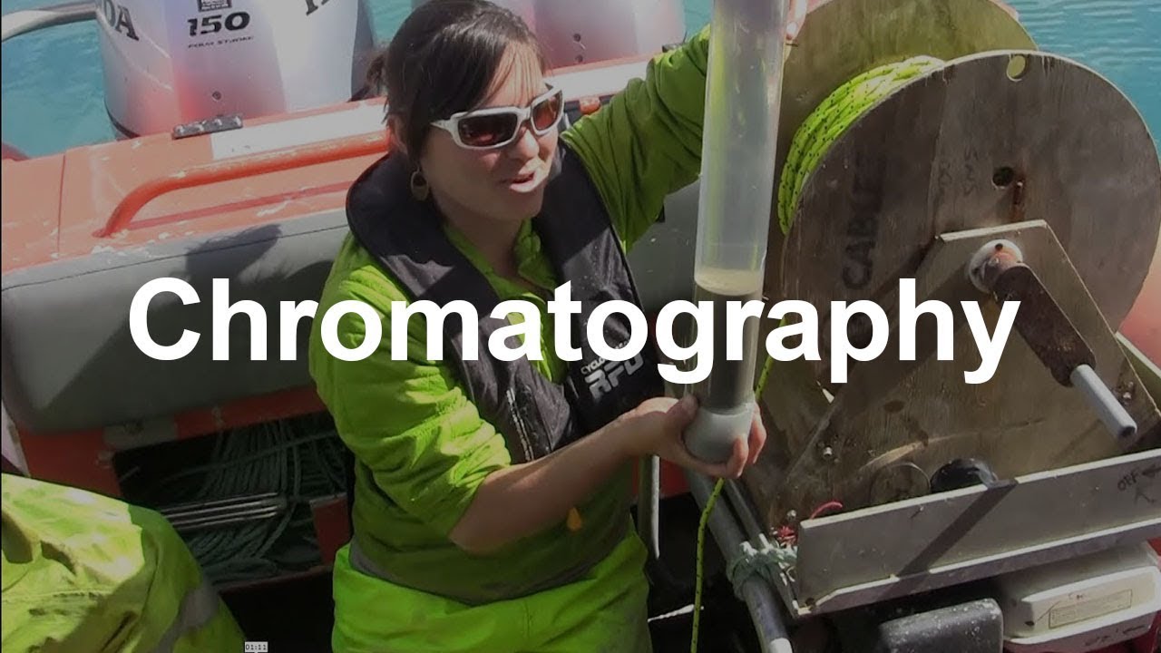 Tracking environmental change using pigments