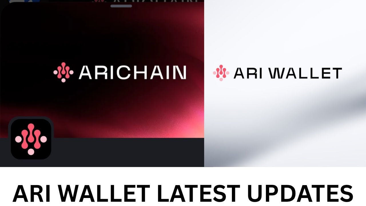 Последние обновления о кошельке Ari и отправке адреса EVM Wallet. Всё, что вам нужно знать сейчас