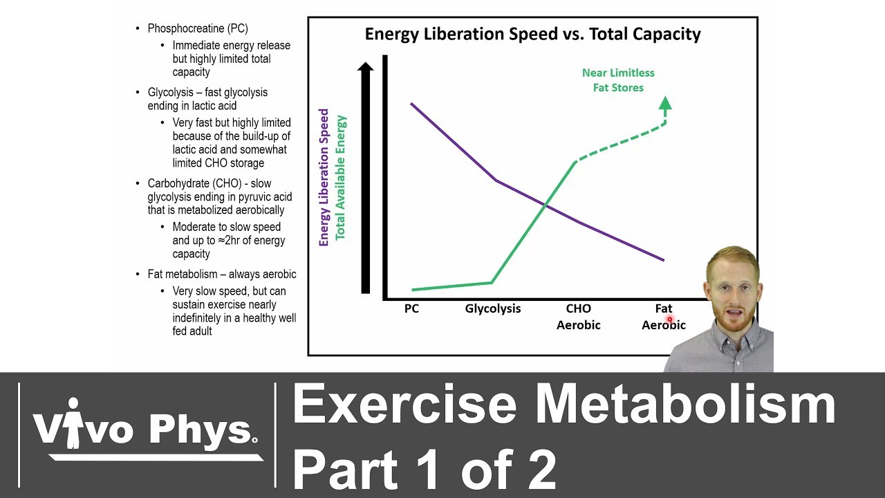 Exercise Metabolism Part 1 of 2 - Energy Systems (UPDATED VERSION IN DESCRIPTION)