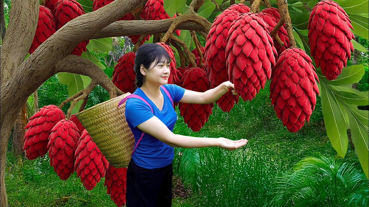 Ly Trieu Ca: Harvesting Giant Wild Soursop - Cooking the Best Fruit Dessert | Village Recipe