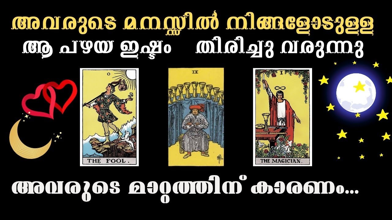 അവർ ഇപ്പോഴും നിങ്ങളെ സ്നേഹിക്കുന്നു ❤️❤️Malayalam Tarot Reading✨💫💥