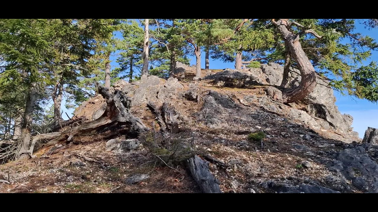 Vom Klaushoferberg zum Hochsteinkogel, 2025-11-13