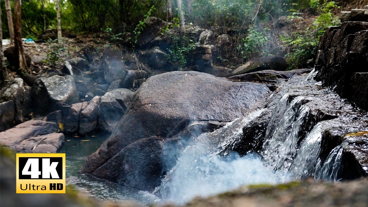 1 HOUR 4K Forest Stream - Inner Calm - Natural White Noise for Focus, Study & Long Sleep