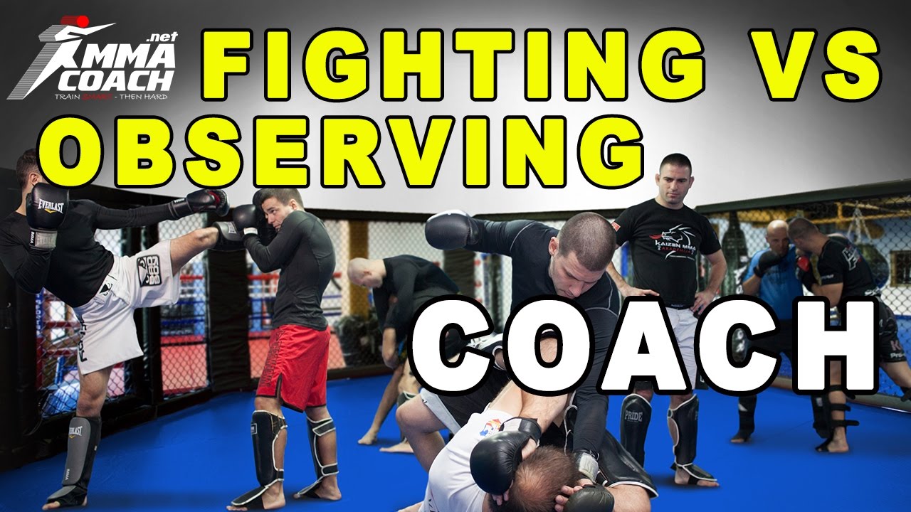 Fighting VS Observing Coach - Which One Is Better?