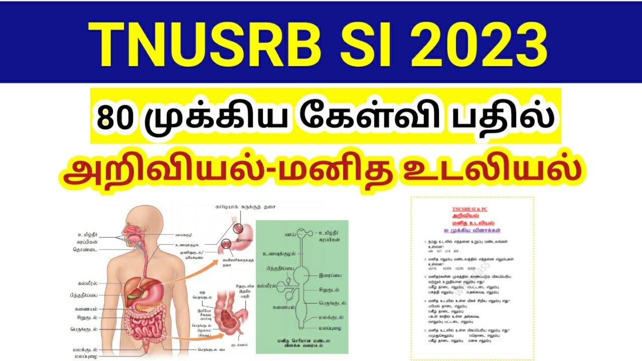 TNUSRB SI 2023/ 80 முக்கிய கேள்வி பதில்/ Science/ Human physiology Question answer