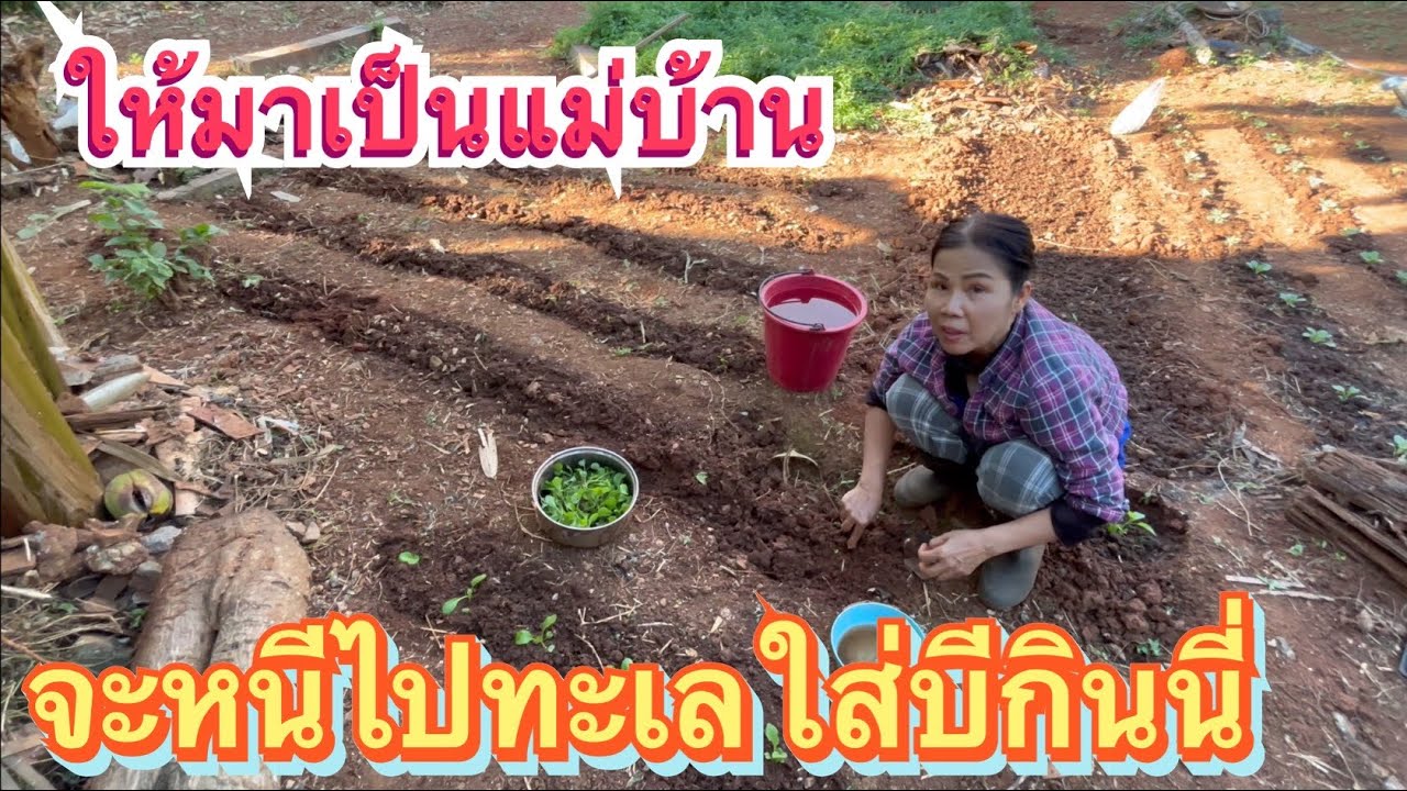 ก่อนจะไปมากินข้าวจ่ำปลาแดกไข่สะก่อน