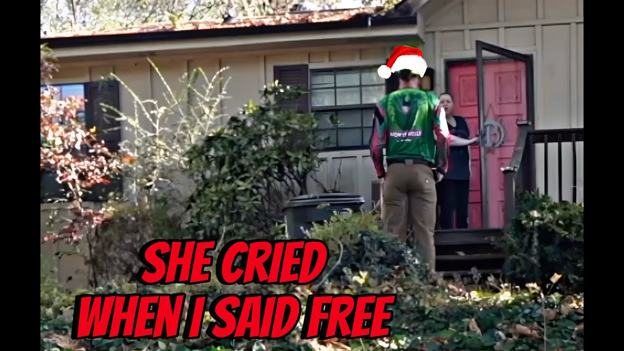 Turning a Jungle into a Dream Lawn for FREE