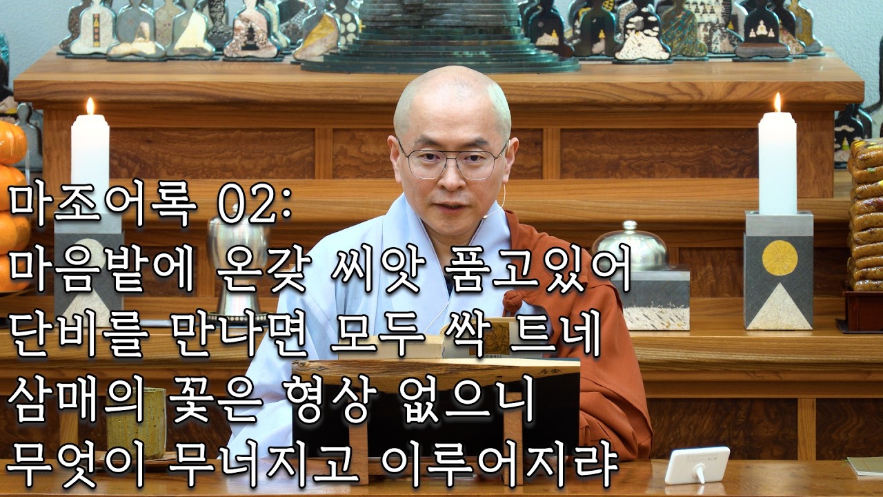 [마조어록 02] 남악회향의 전법게 #선불교 #깨달음 #부처 #마조도일 #즉심즉불