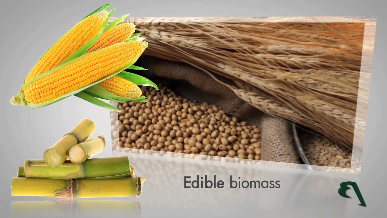 Crescentino Biorefinery in Italy