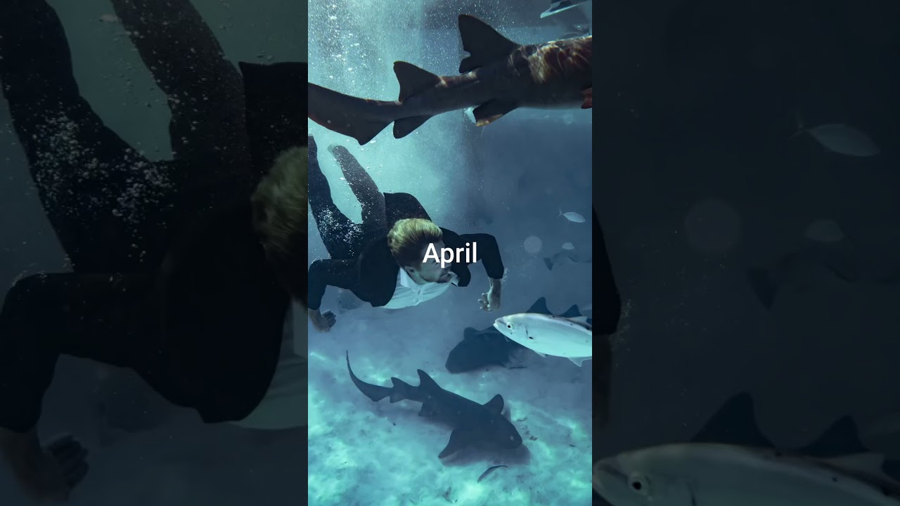 2023 Recap- Derek & Hayley’s Dayley Life
