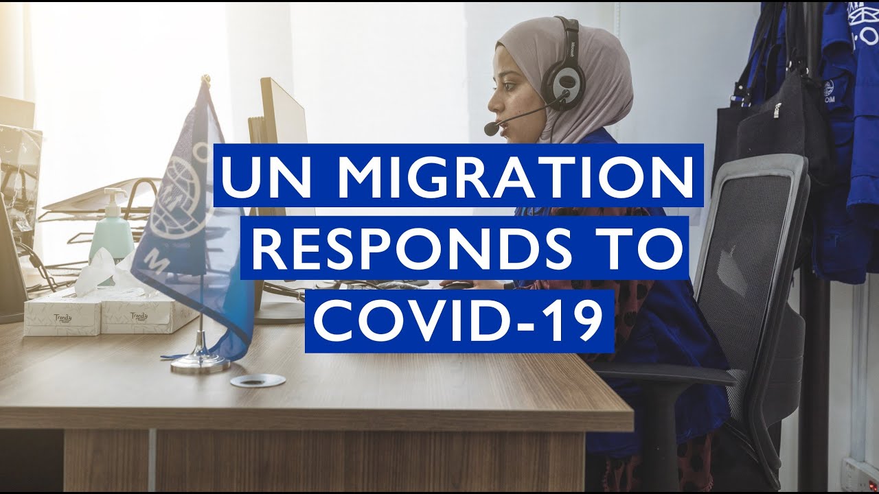 Impacts of COVID-19 on Immigration and Visa Systems&rsquo;