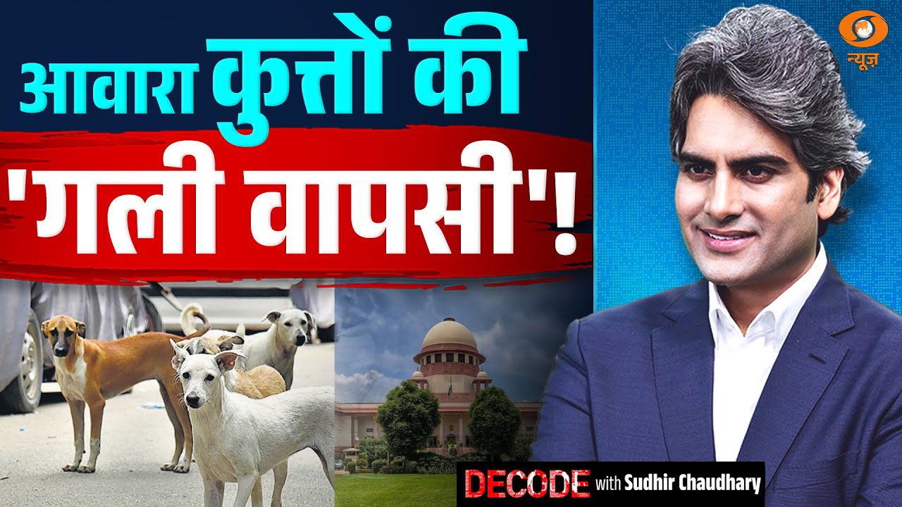 आवारा कुत्तों की 'गली वापसी'! Stray Dogs | Supreme Court | Decode With Sudhir Chaudhary