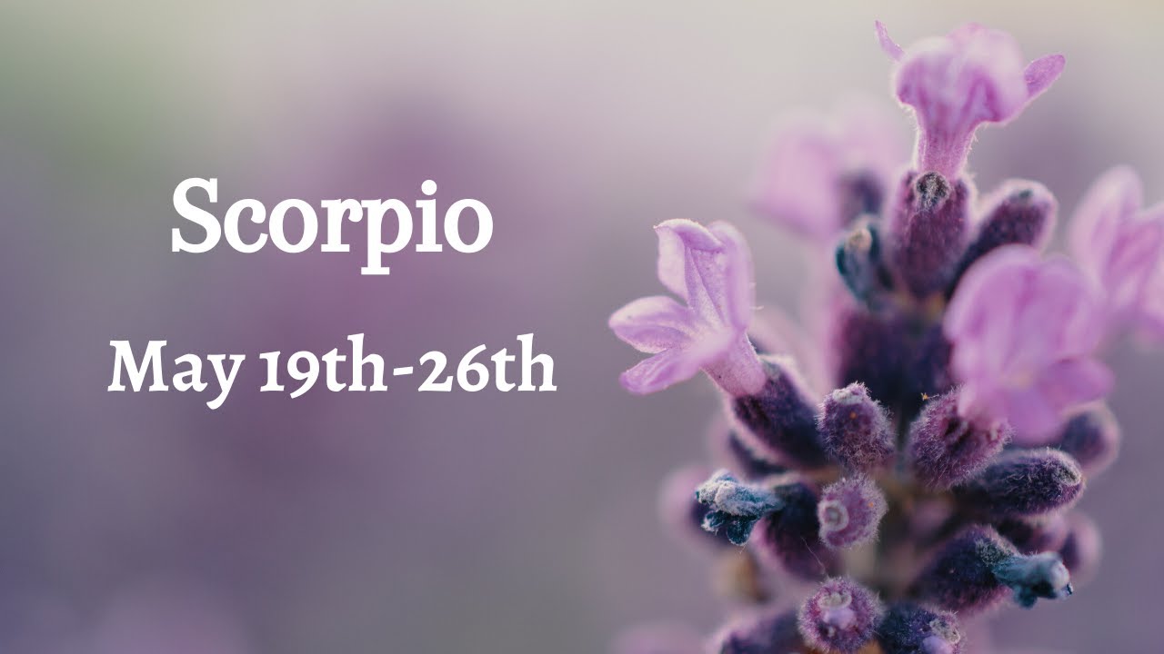 SCORPIO LOVE-They are suffering in silence BIG time! Constant overthinking.. May 2020