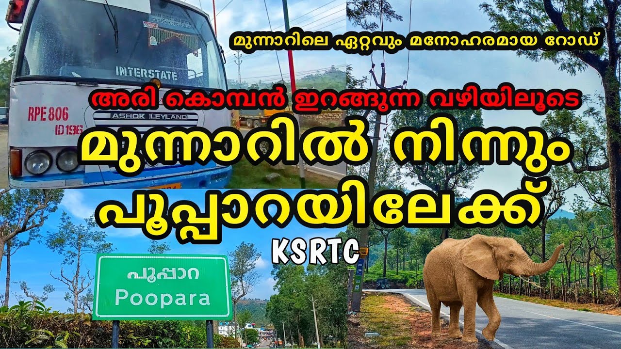 Munnar to poopara ksrtc trip|അരികൊമ്പൻ ഇറങ്ങുന്ന വഴിയിലൂടെ പൂപ്പാറക്ക്|Most Beautiful Road|#Munnar#