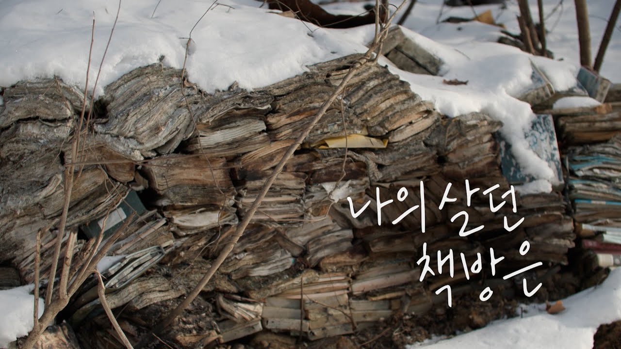 [풀버전] 나의 살던 책방은 KBS 다큐공작소 20250228