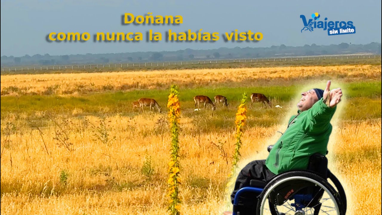 Doñana en 4x4 | Naturaleza, accesibilidad y emociones en el corazón del Parque Nacional