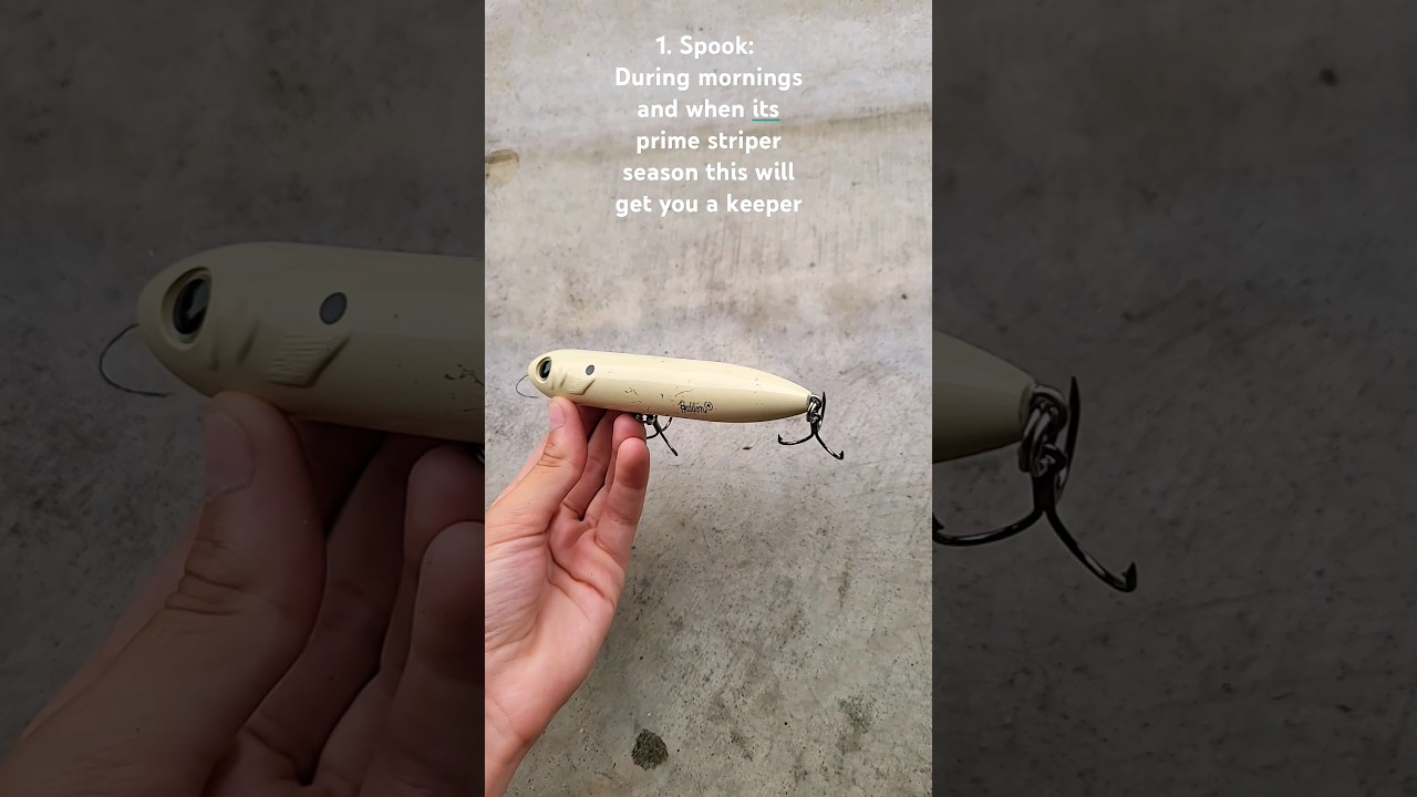 op 5 best lures for striped bass