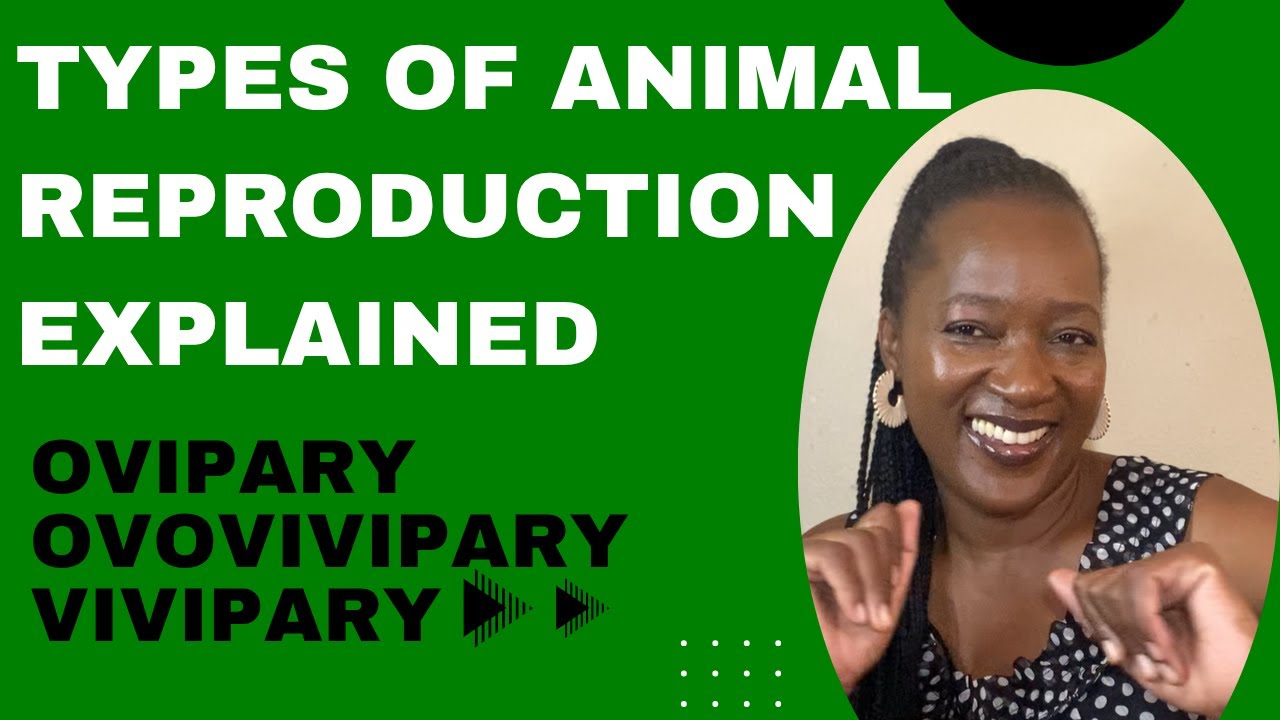 TYPES OF ANIMAL REPRODUCTION 🧬 | OVIPARY, OVOVIVIPARY & VIVIPARY EXPLAINED