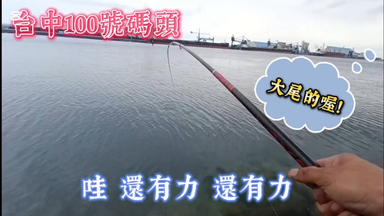 季節限定🎣🎣🎣 終於在這裡釣到魚了😆#阿旺愛釣魚 #fishing #釣魚 #感謝大海