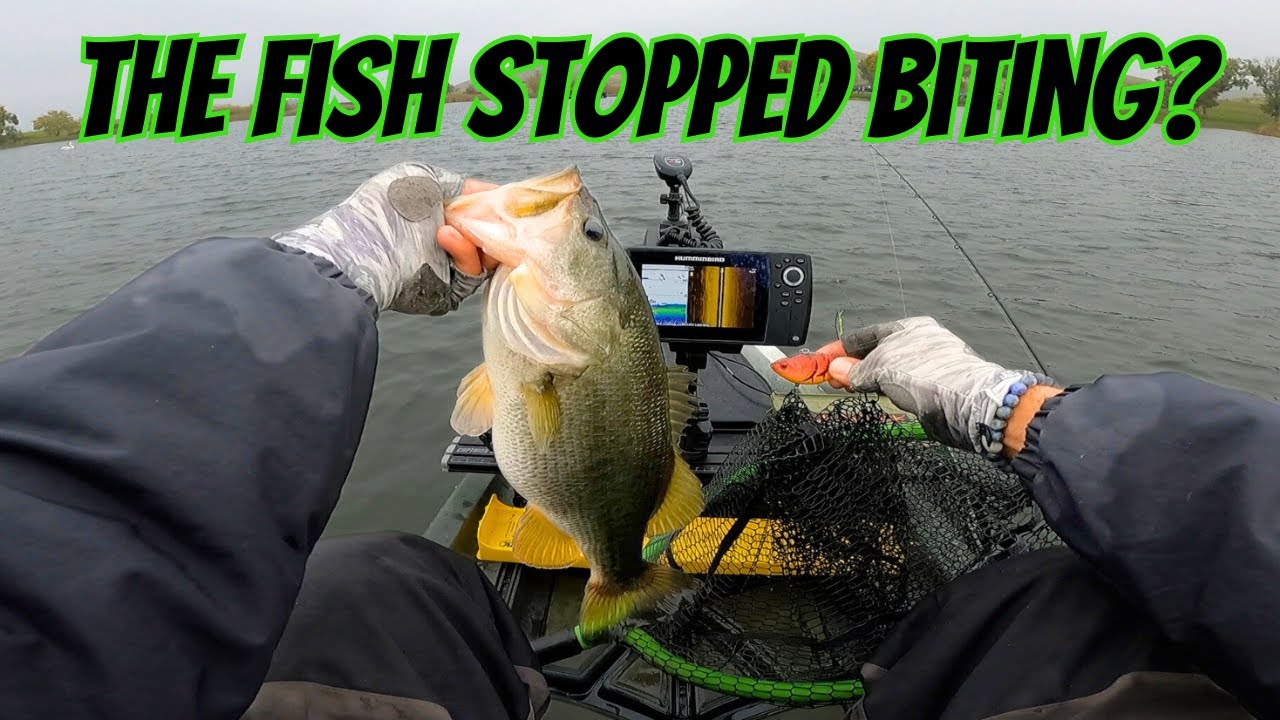 The Bite Didn't Last Long! | Winter Bass Fishing Struggles