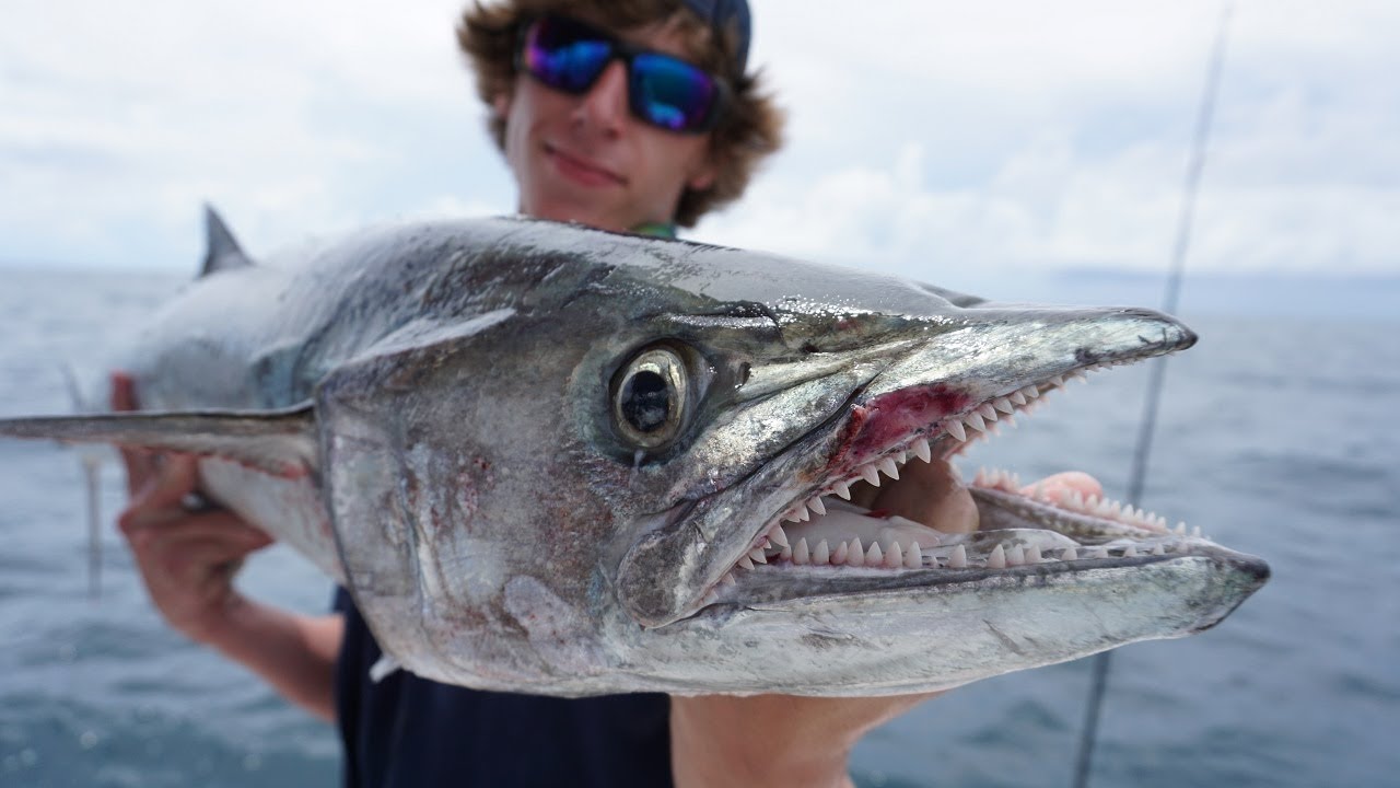 Catching A Monster Kingfish Ship Wreck Fishing Florida