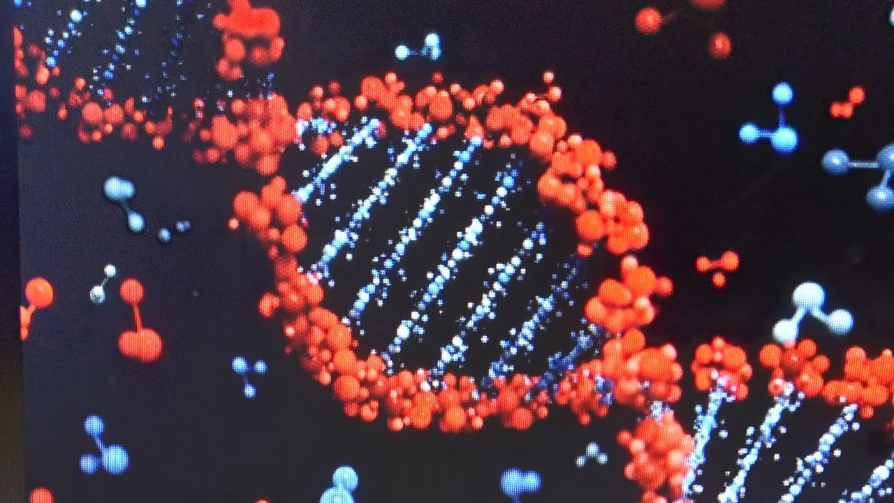 Biology උසස්පෙළ ✍ unit-7 episode 2 අනුක ජීවවිද්‍යාව පුනරීක්ෂණ 