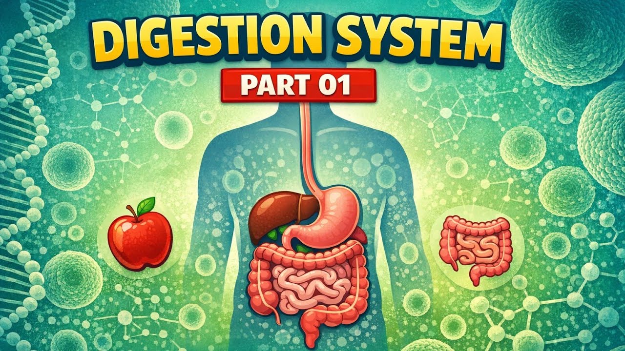 Digestive system (पाचन तंत्र) By Viraj tomar #digestivesystem​ #ntpc #group_d​ #ssc​ # #railwayexam​