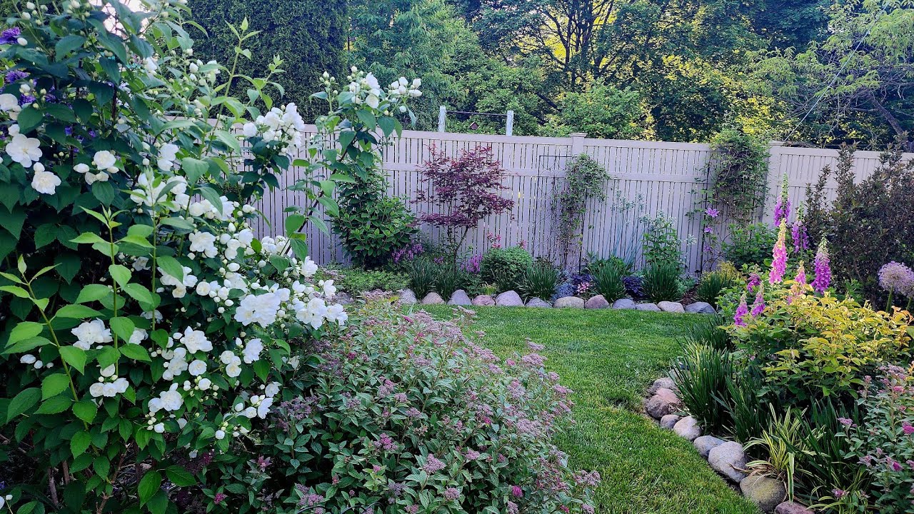 First June Garden Tour & Walkabout 💕🐇🤩// Suburban Oasis