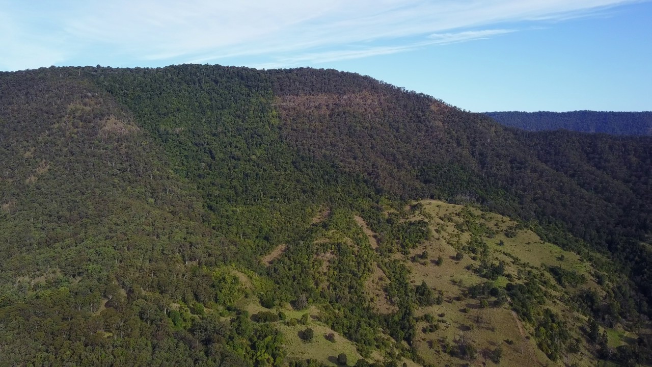 20170806 Christmas Creek, start Stinson Stretcher Track