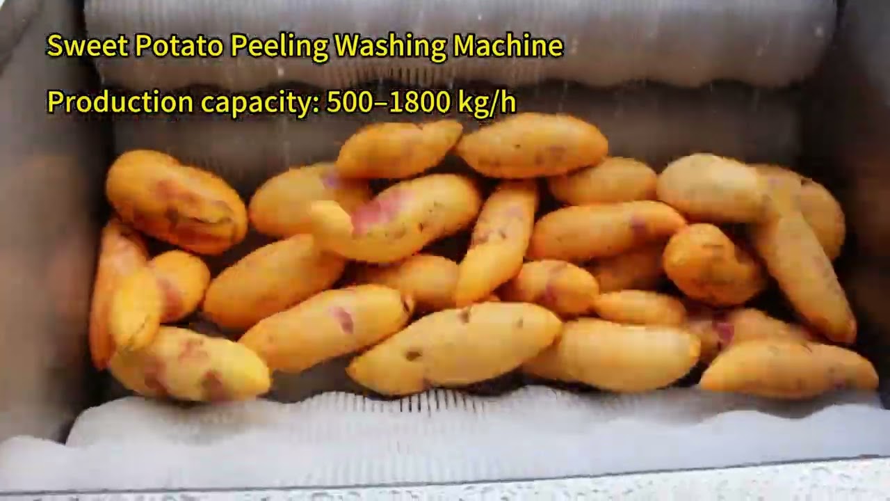 Sweet Potato Peeling Washing Machine