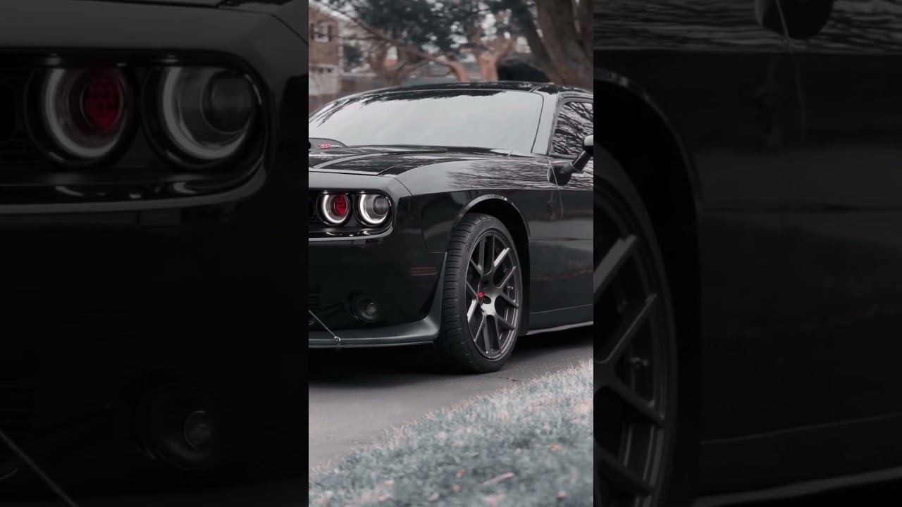 Mustang attitude status 🥵 